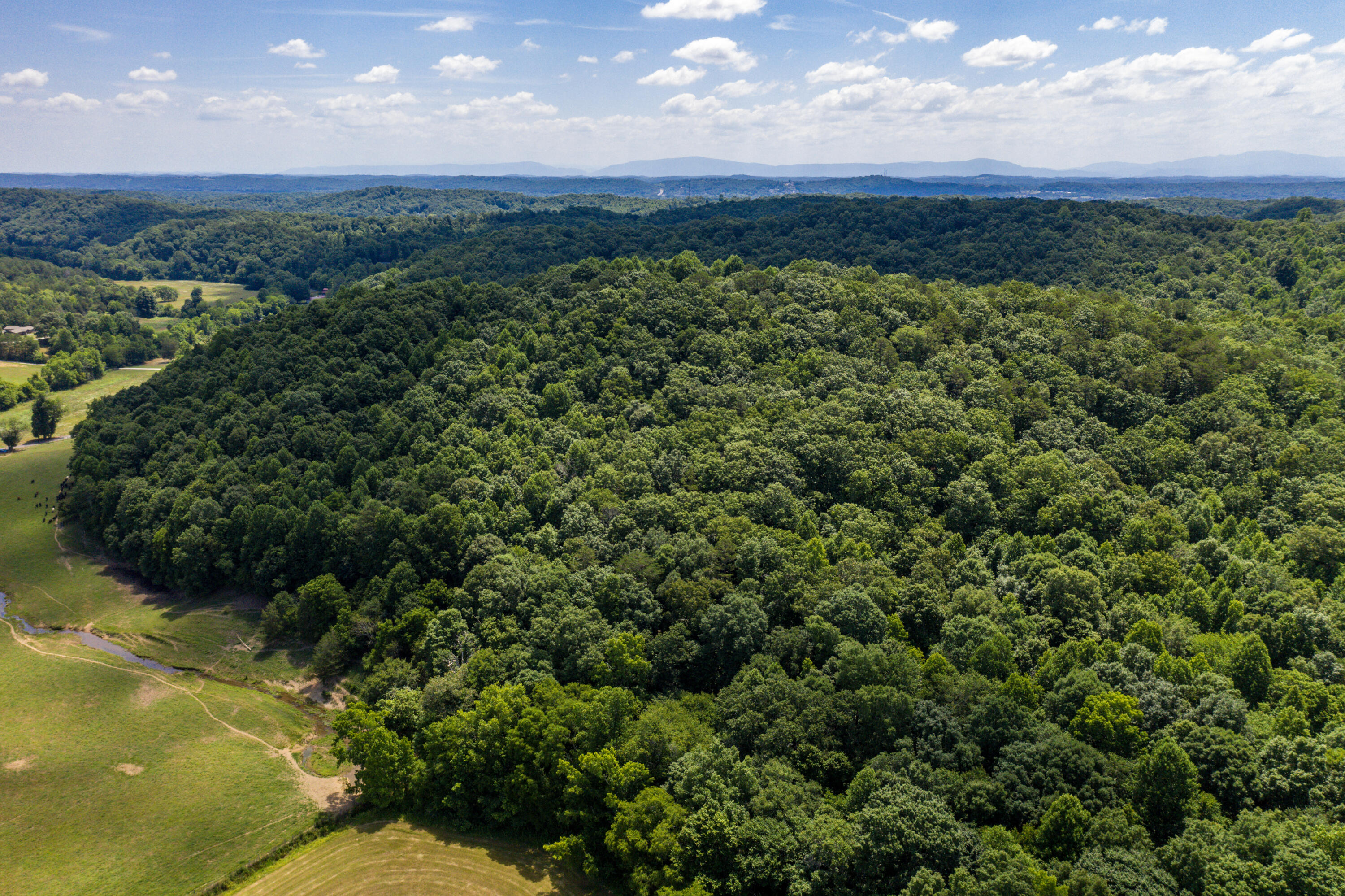 1636 White Oak Road Northwest Cleveland, TN 37312 - Photo 32 of 50 32-DJI_0143