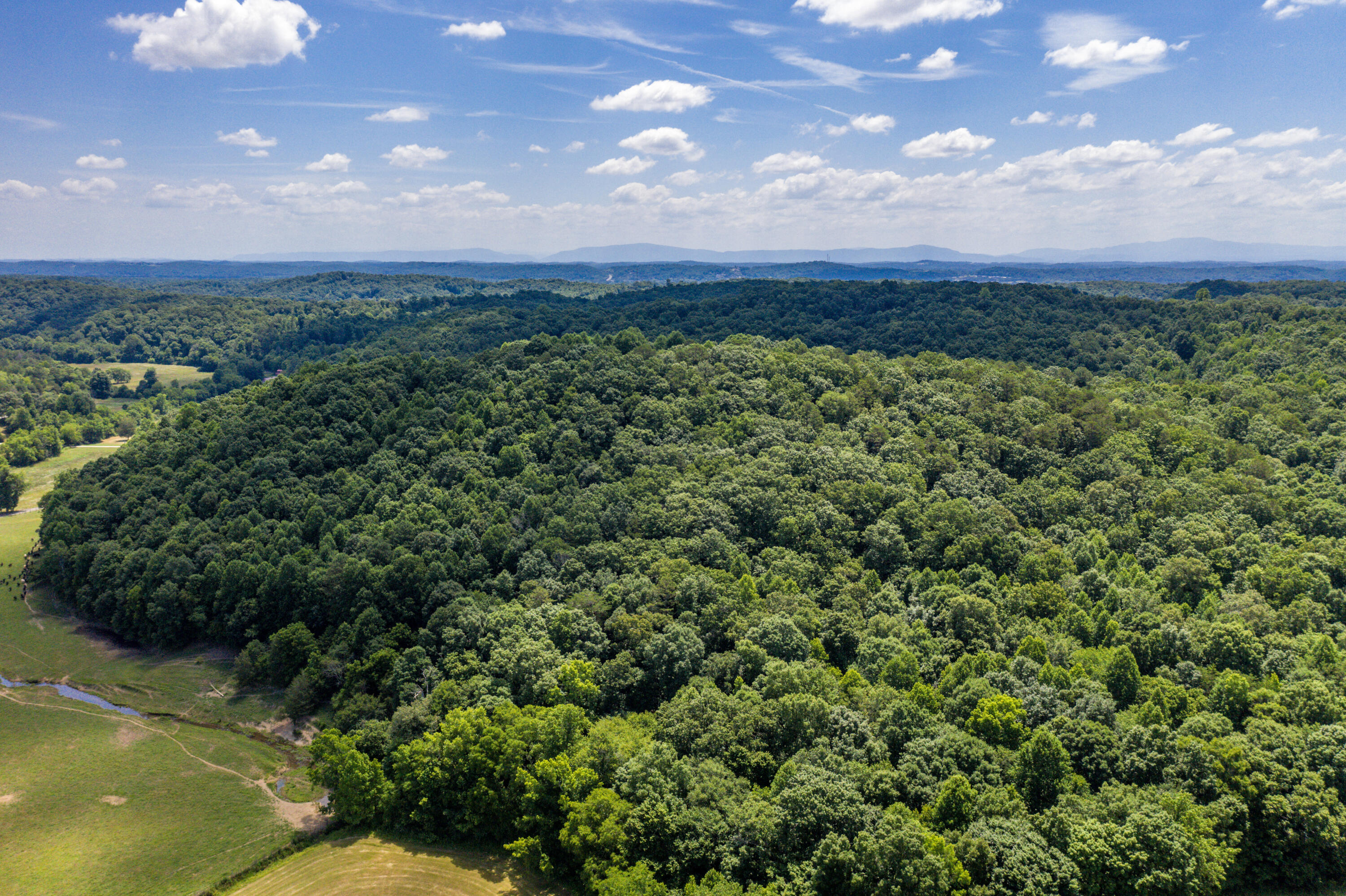 1636 White Oak Road Northwest Cleveland, TN 37312 - Photo 33 of 50 33-DJI_0144