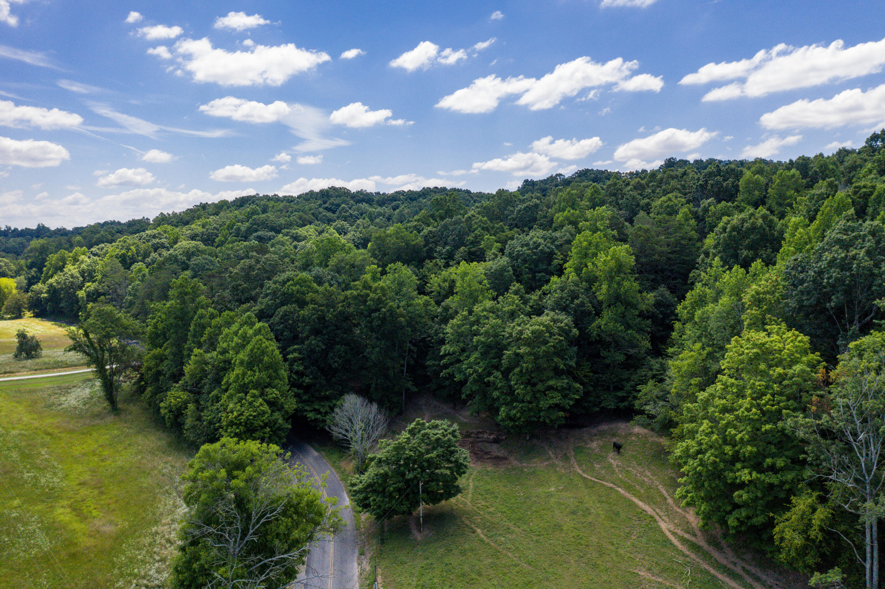 1636 White Oak Road Northwest Cleveland, TN 37312 - Photo 34 of 50 34-DJI_0146