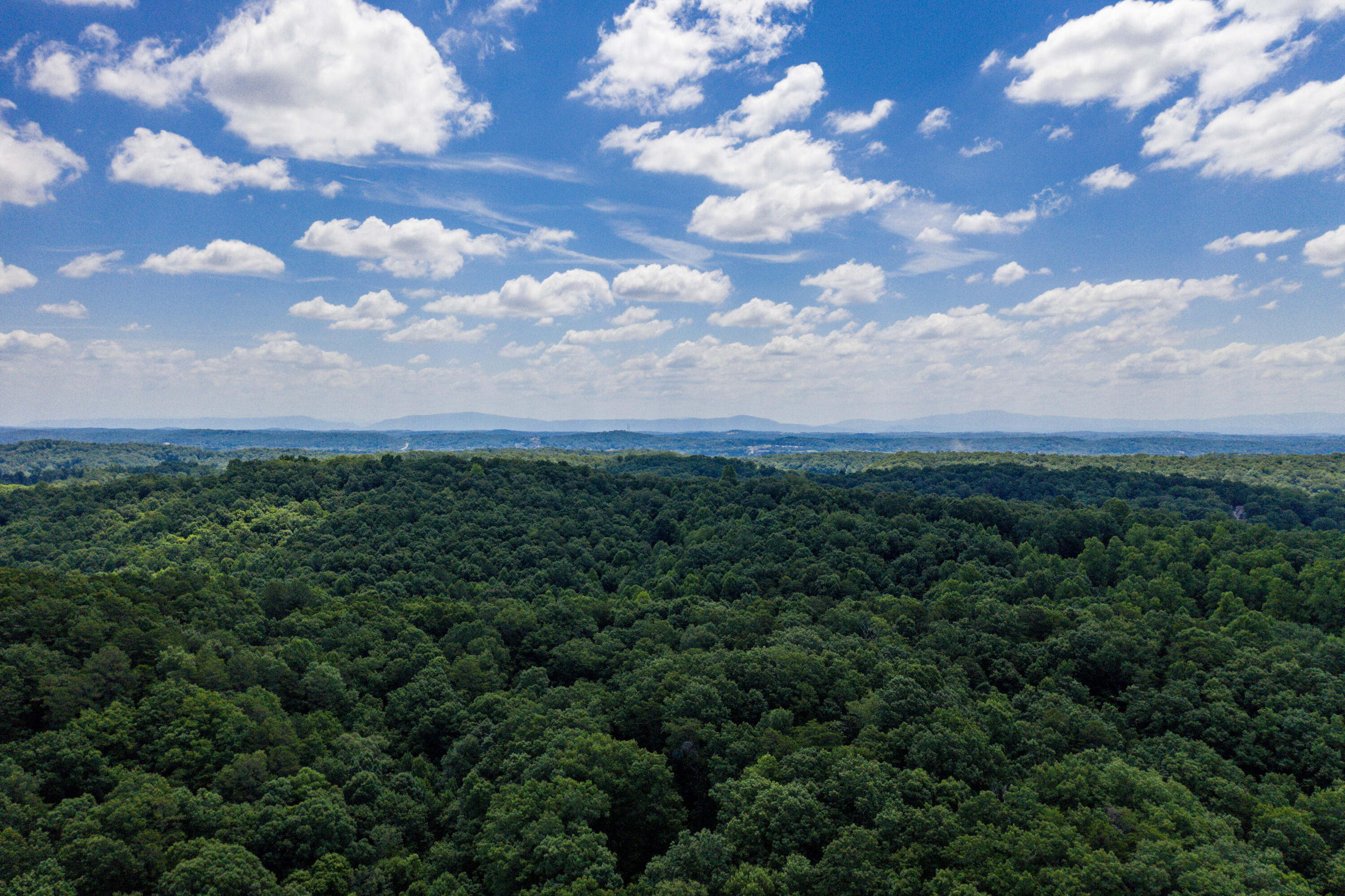 1636 White Oak Road Northwest Cleveland, TN 37312 - Photo 36 of 50 36-DJI_0151