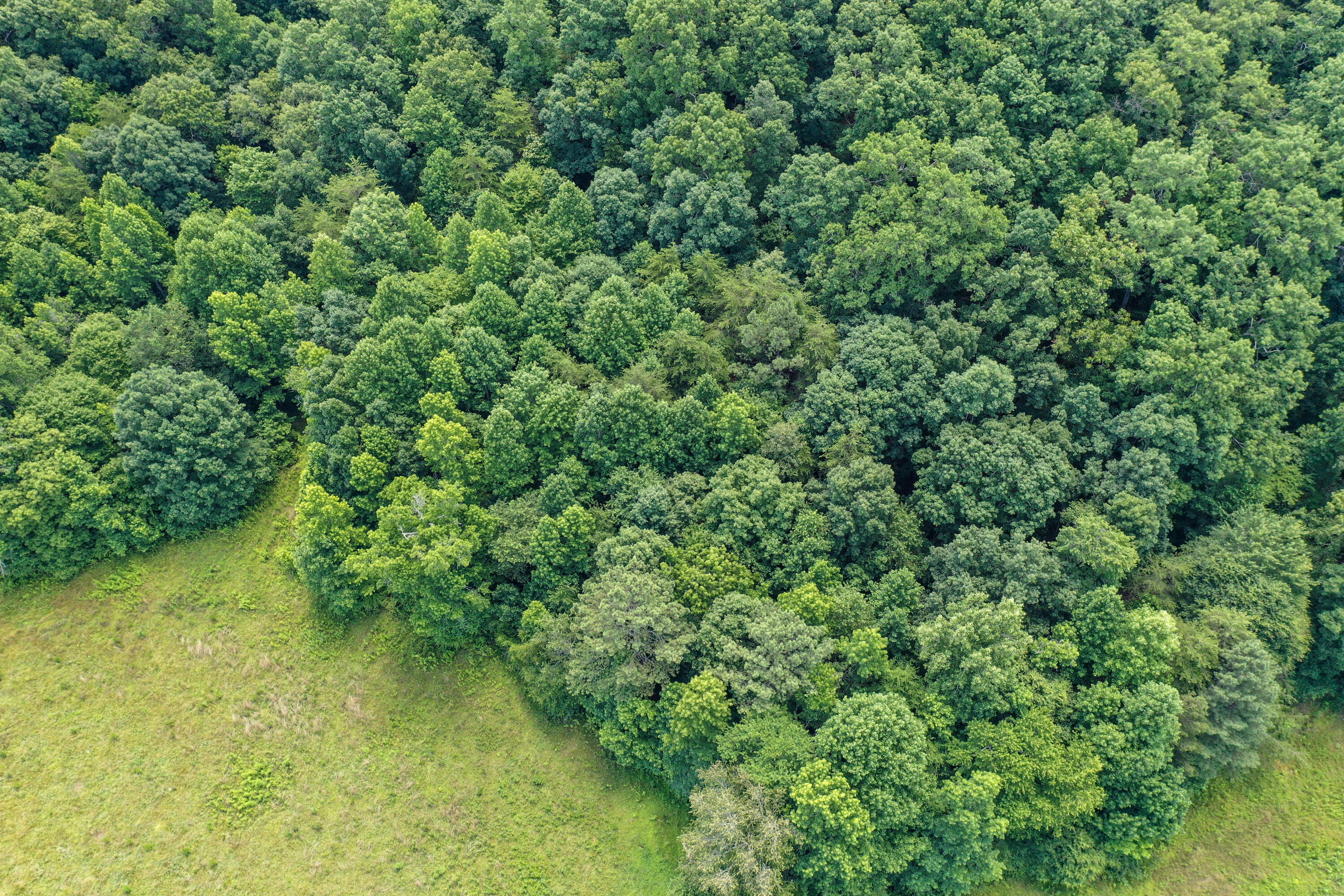 1636 White Oak Road Northwest Cleveland, TN 37312 - Photo 37 of 50 37-DJI_0152