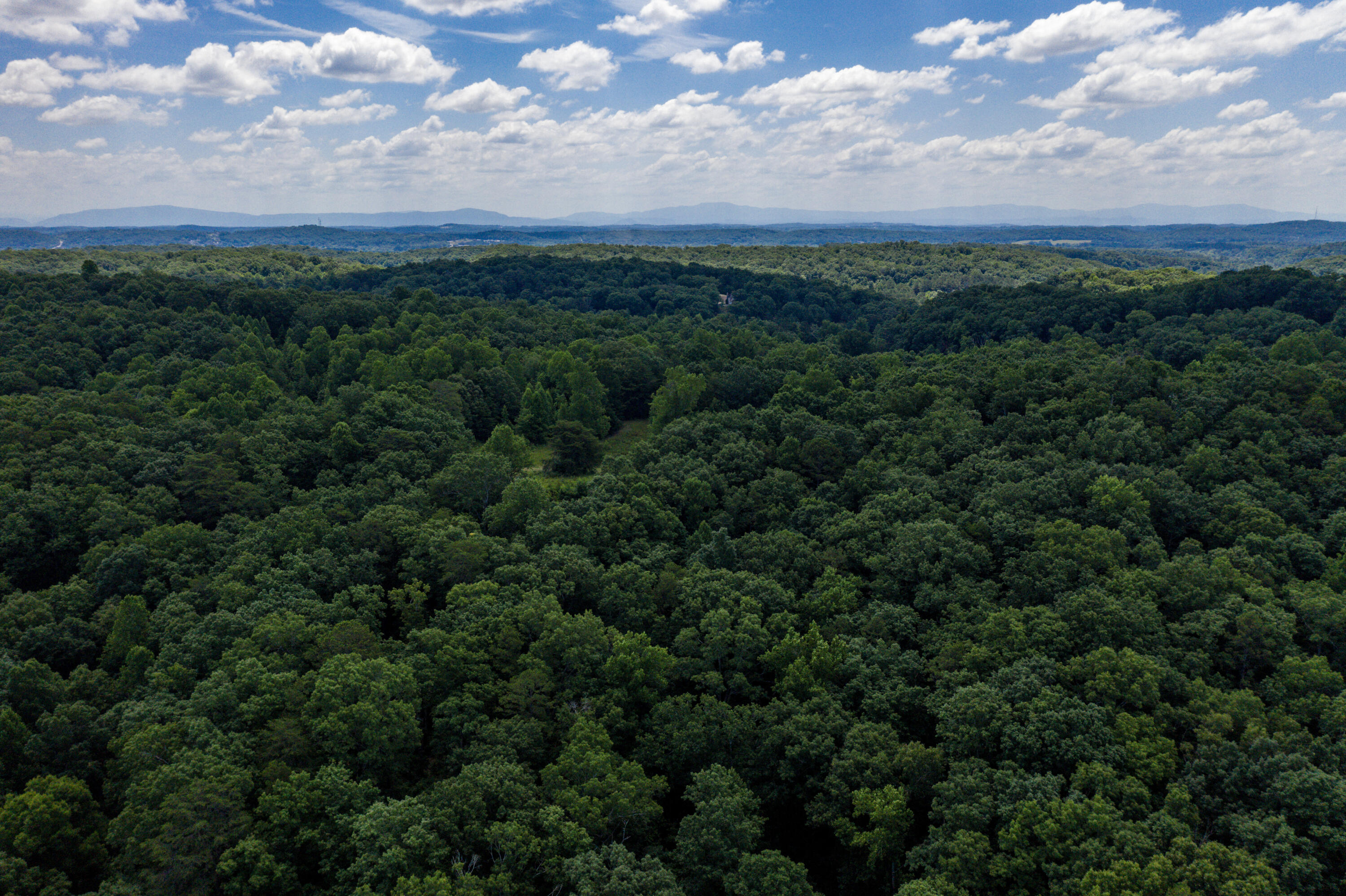 1636 White Oak Road Northwest Cleveland, TN 37312 - Photo 38 of 50 38-DJI_0153