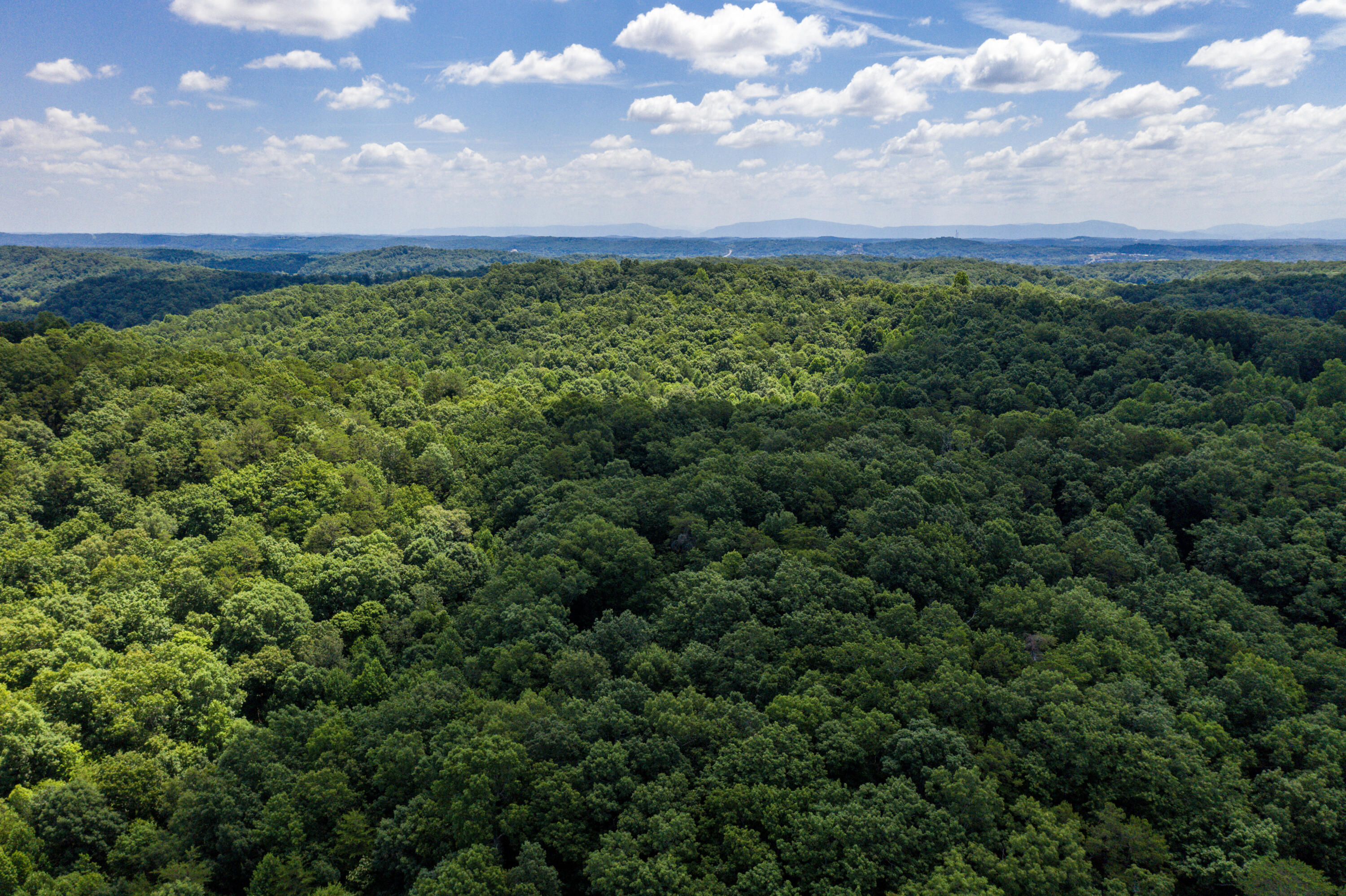 1636 White Oak Road Northwest Cleveland, TN 37312 - Photo 39 of 50 39-DJI_0156
