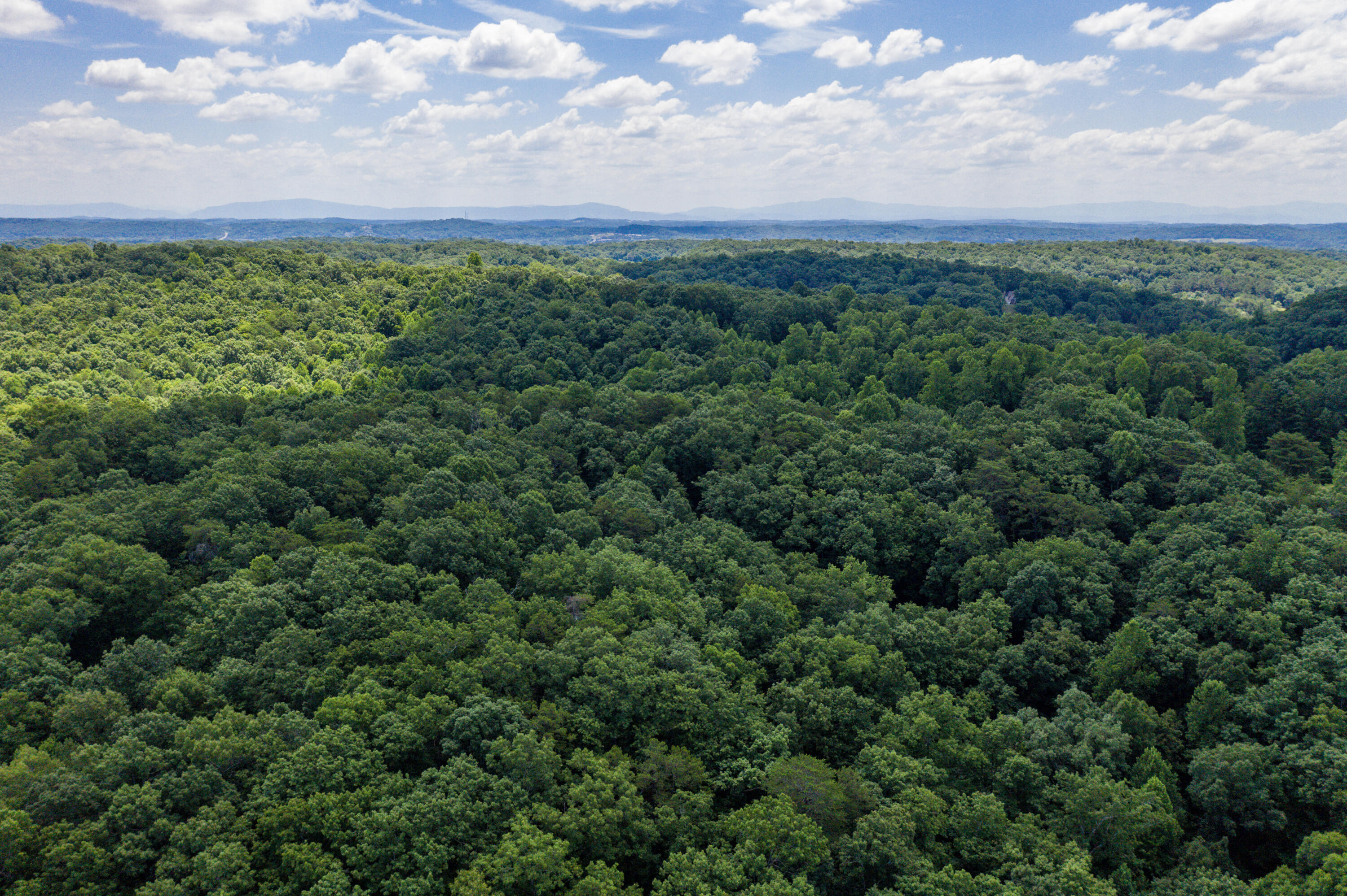 1636 White Oak Road Northwest Cleveland, TN 37312 - Photo 40 of 50 40-DJI_0157