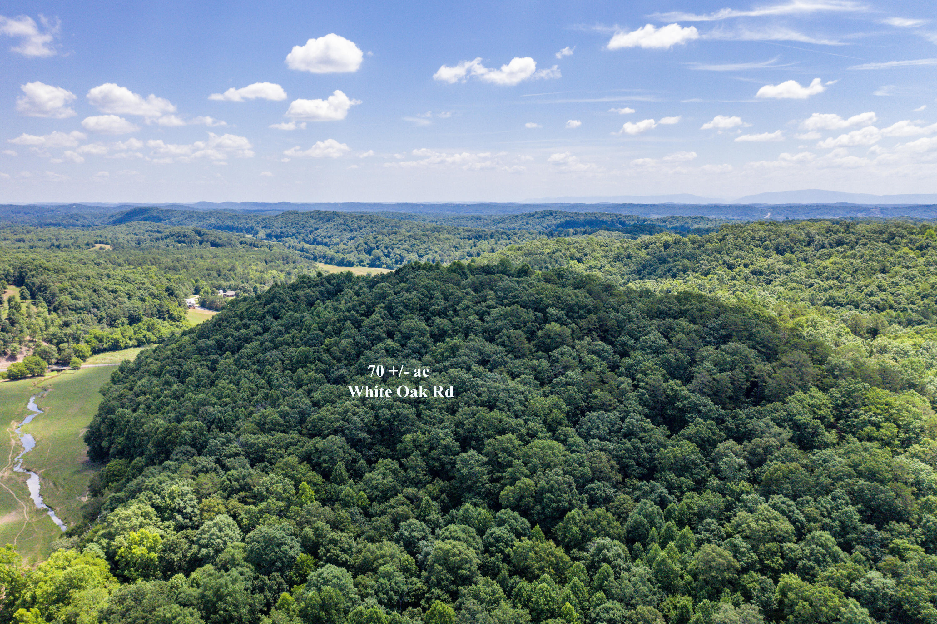 1636 White Oak Road Northwest Cleveland, TN 37312 - Photo 4 of 50 4-DJI_0131-Edit
