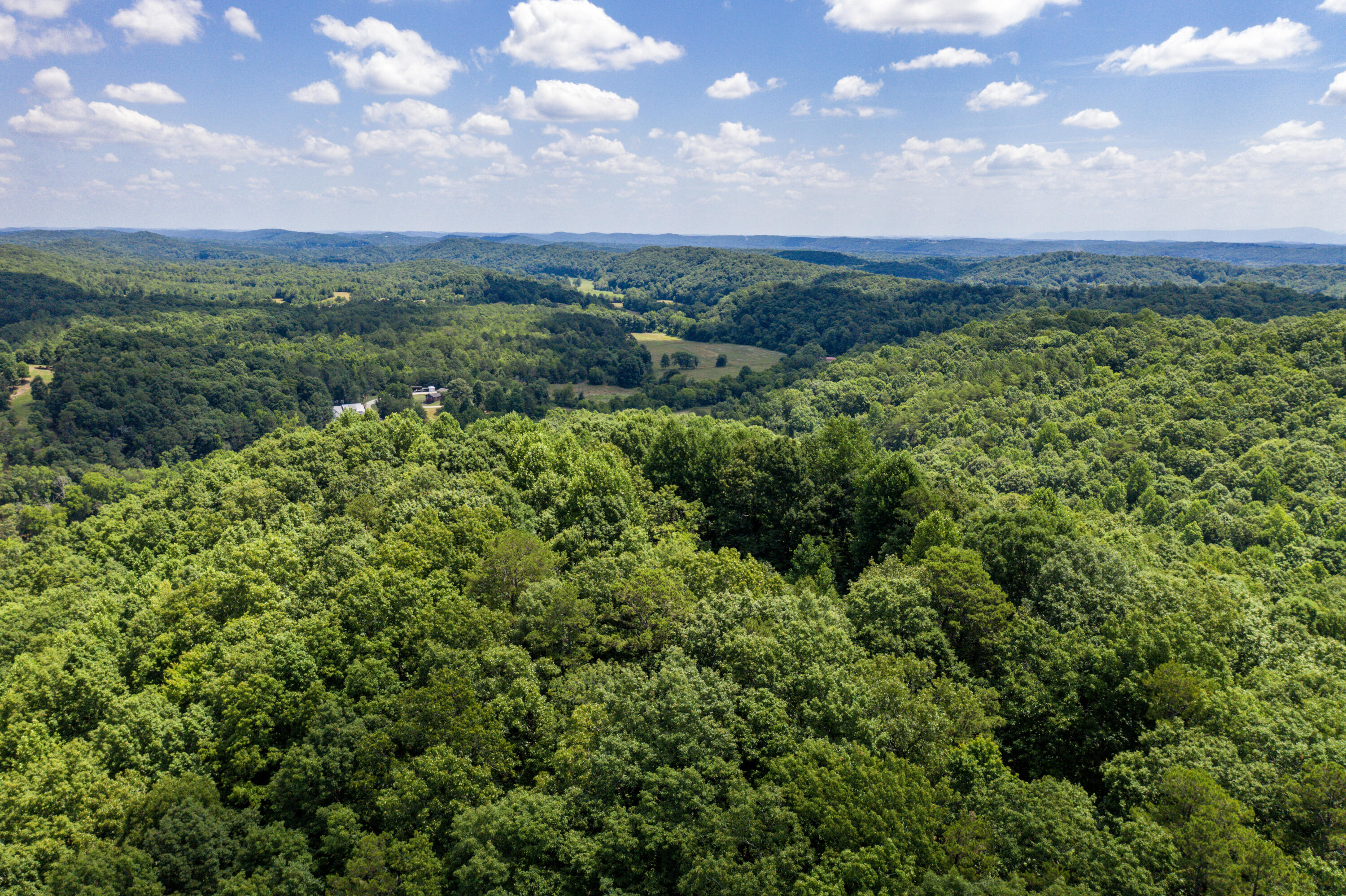 1636 White Oak Road Northwest Cleveland, TN 37312 - Photo 41 of 50 41-DJI_0158