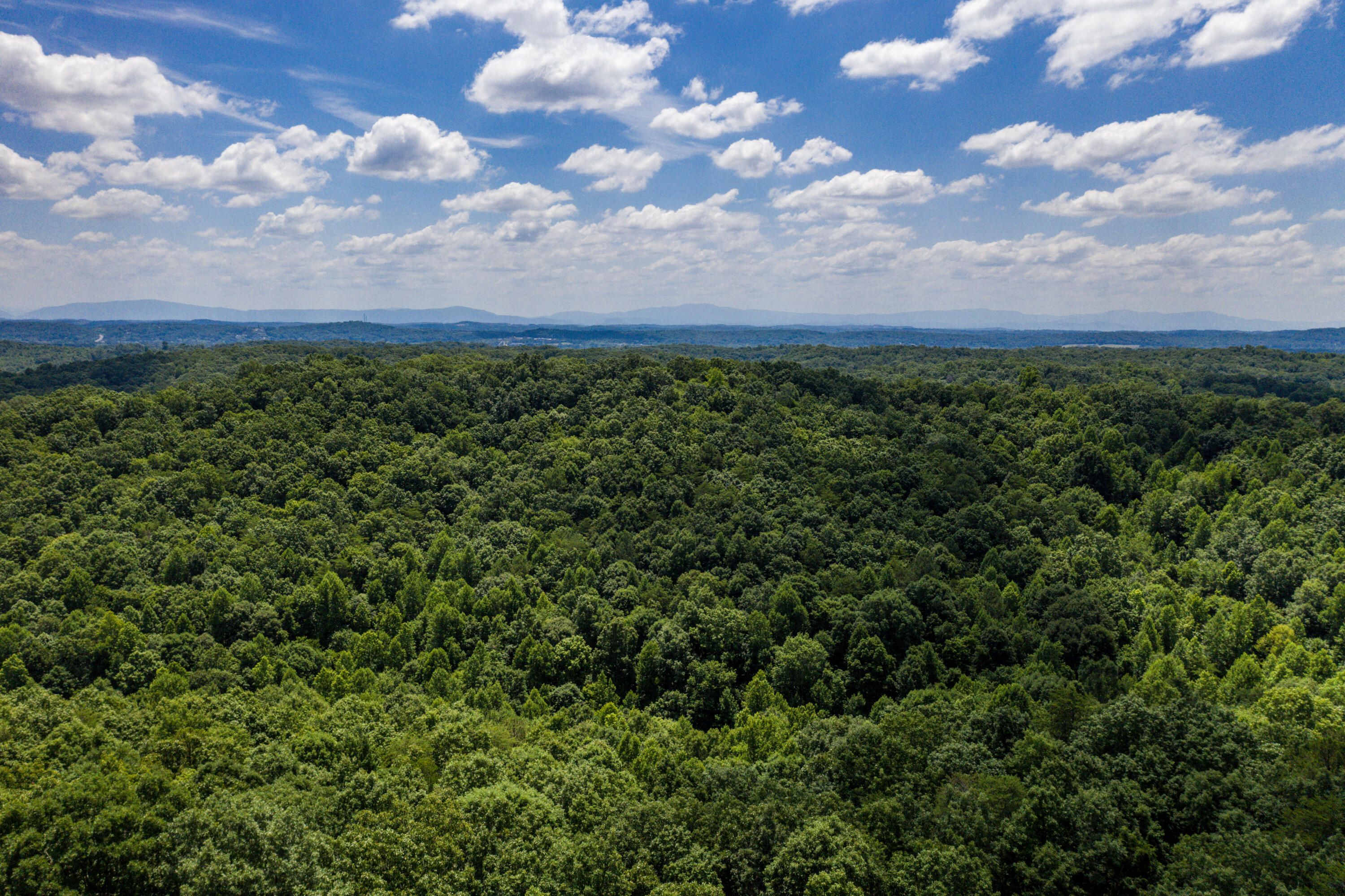 1636 White Oak Road Northwest Cleveland, TN 37312 - Photo 44 of 50 44-DJI_0161