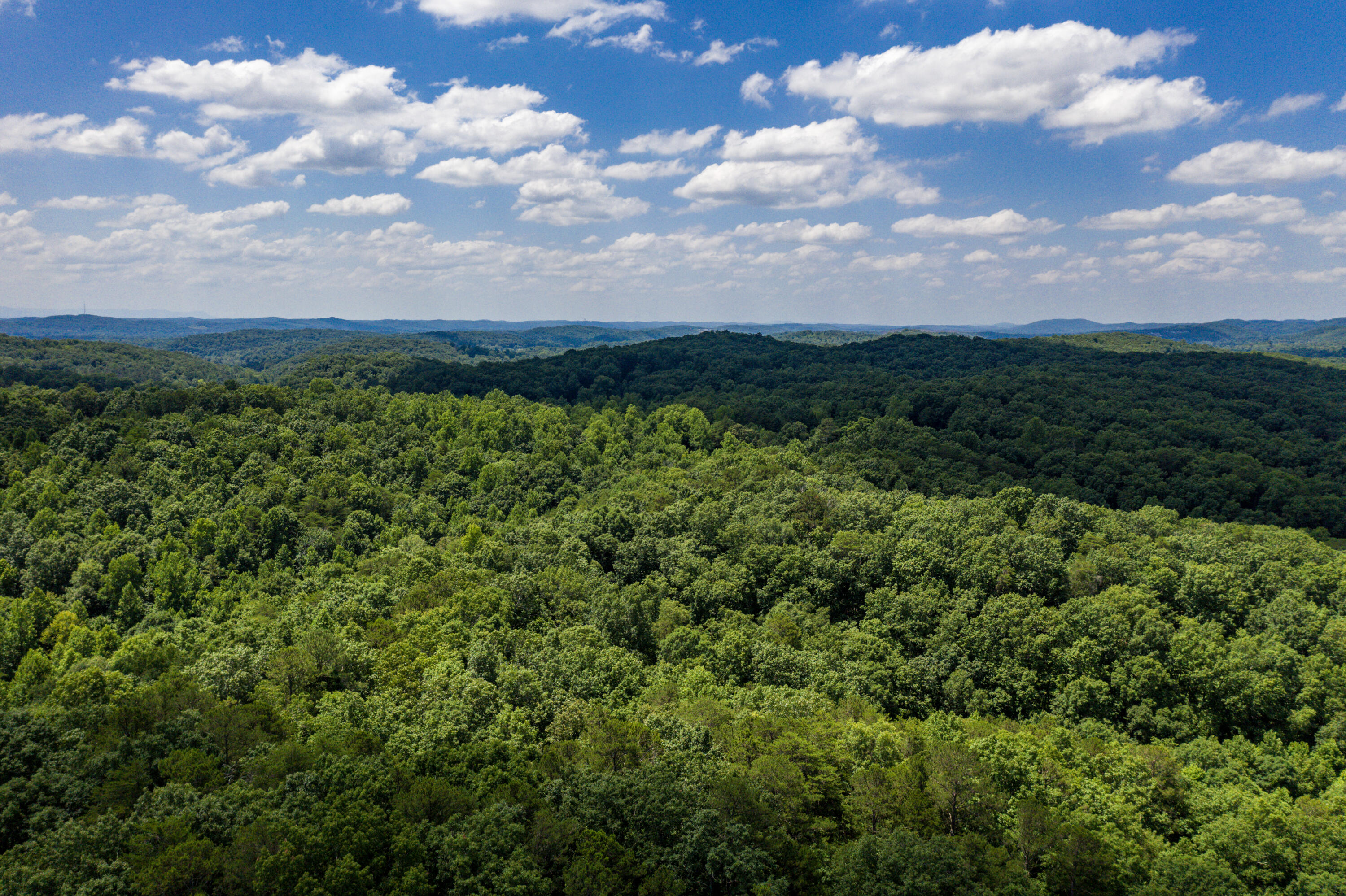 1636 White Oak Road Northwest Cleveland, TN 37312 - Photo 45 of 50 45-DJI_0162
