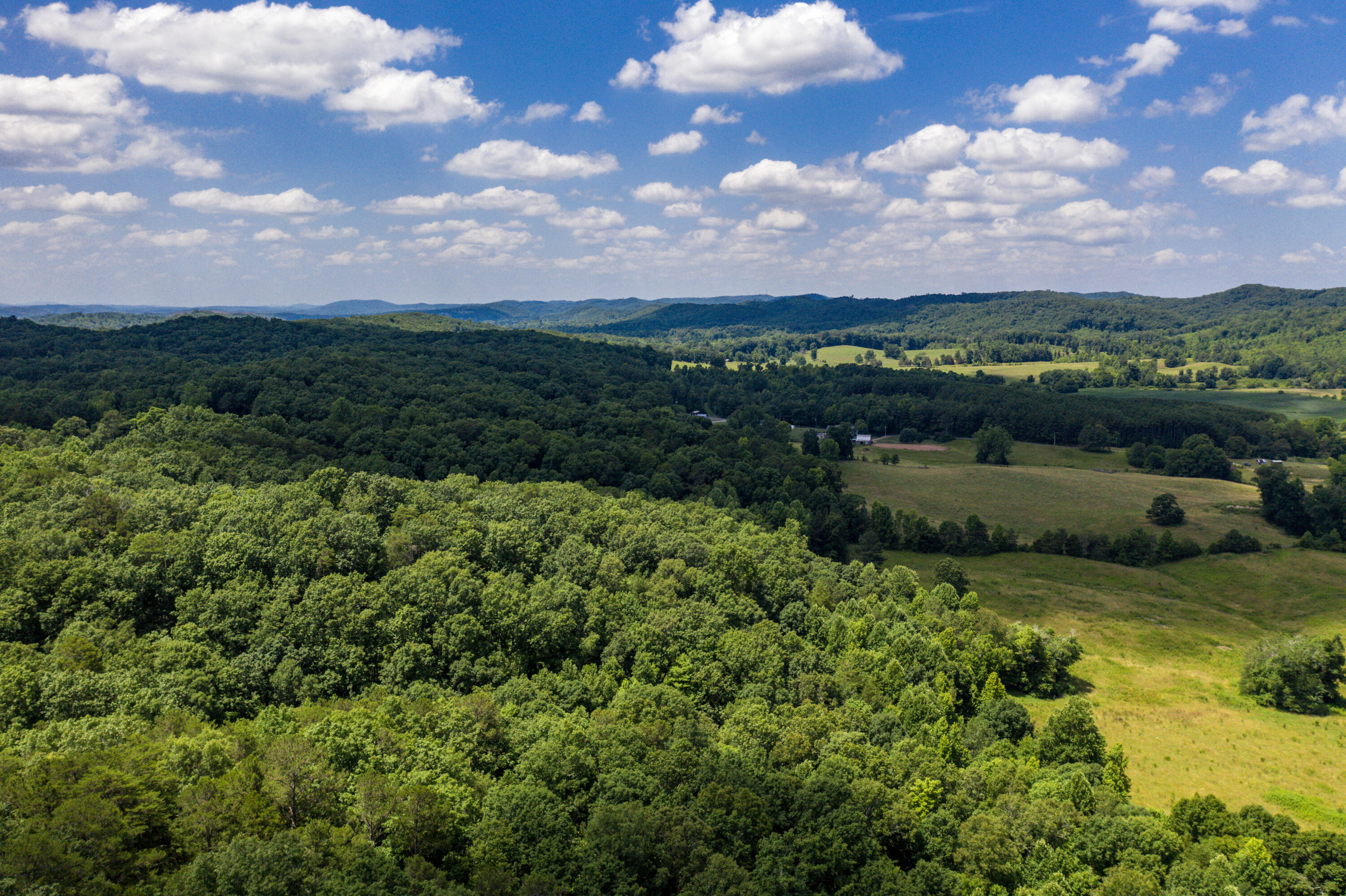 1636 White Oak Road Northwest Cleveland, TN 37312 - Photo 46 of 50 46-DJI_0163
