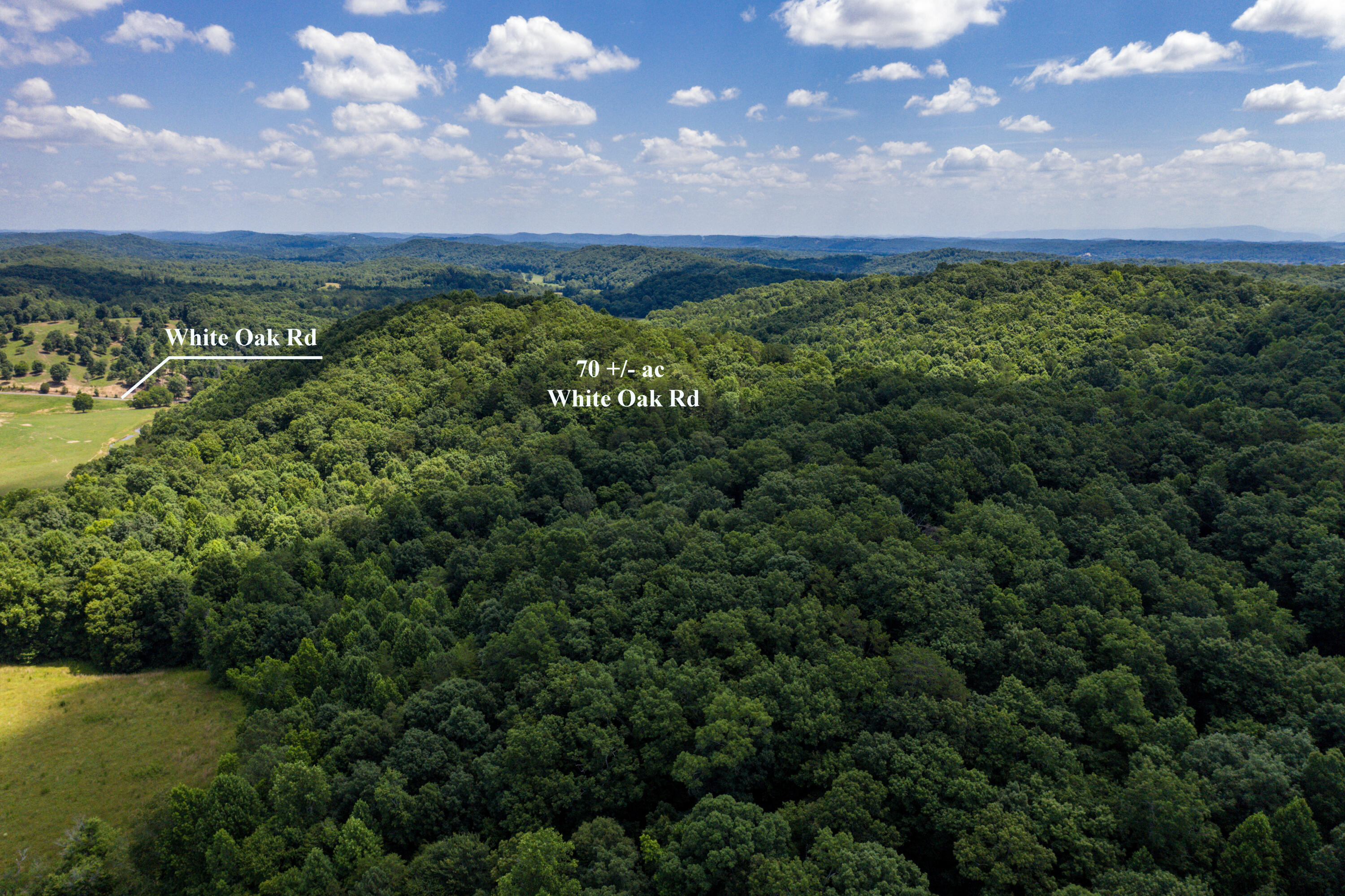 1636 White Oak Road Northwest Cleveland, TN 37312 - Photo 48 of 50 48-DJI_0154-Edit