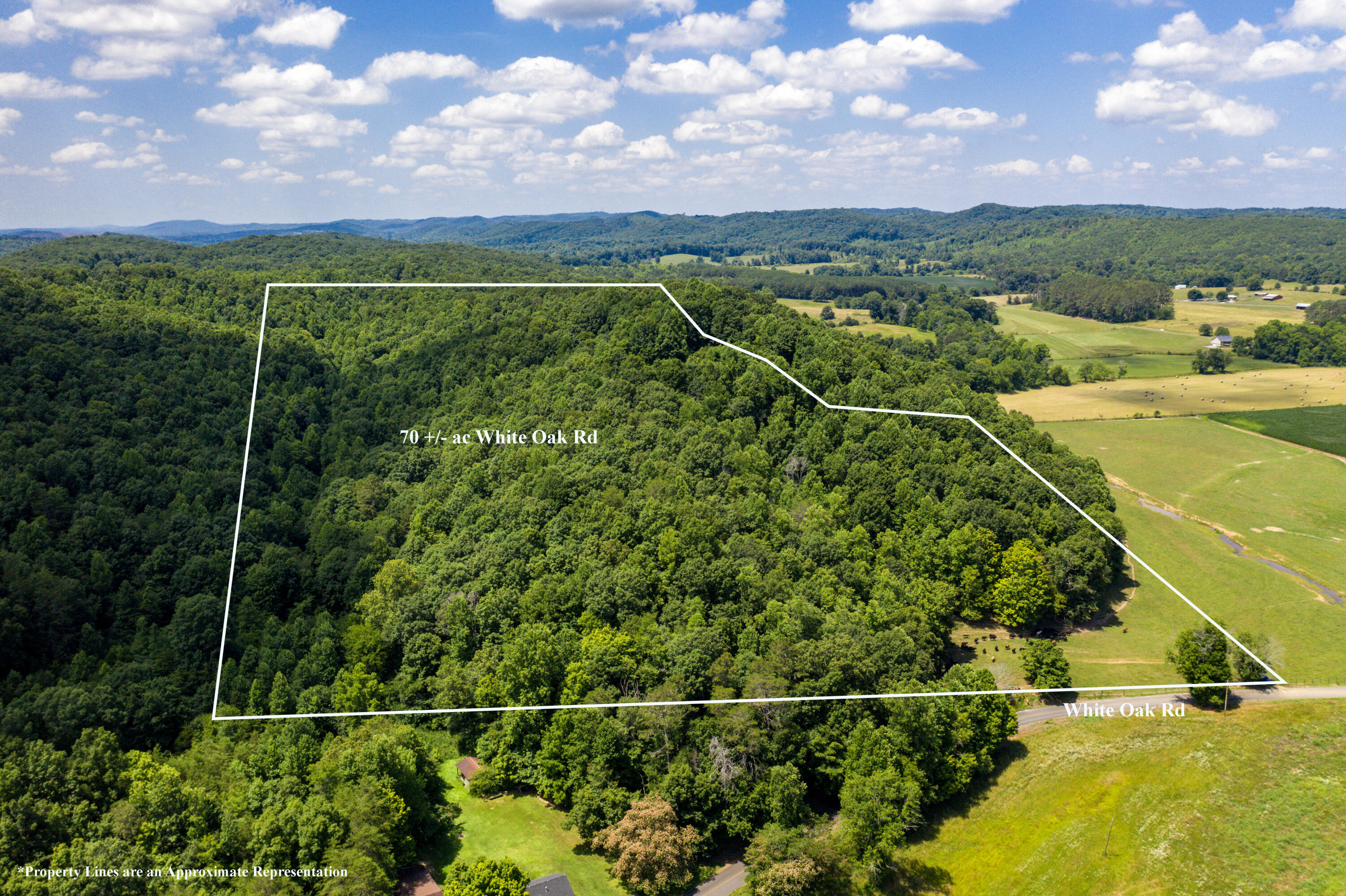 1636 White Oak Road Northwest Cleveland, TN 37312 - Photo 5 of 50 5-DJI_0134-Edit
