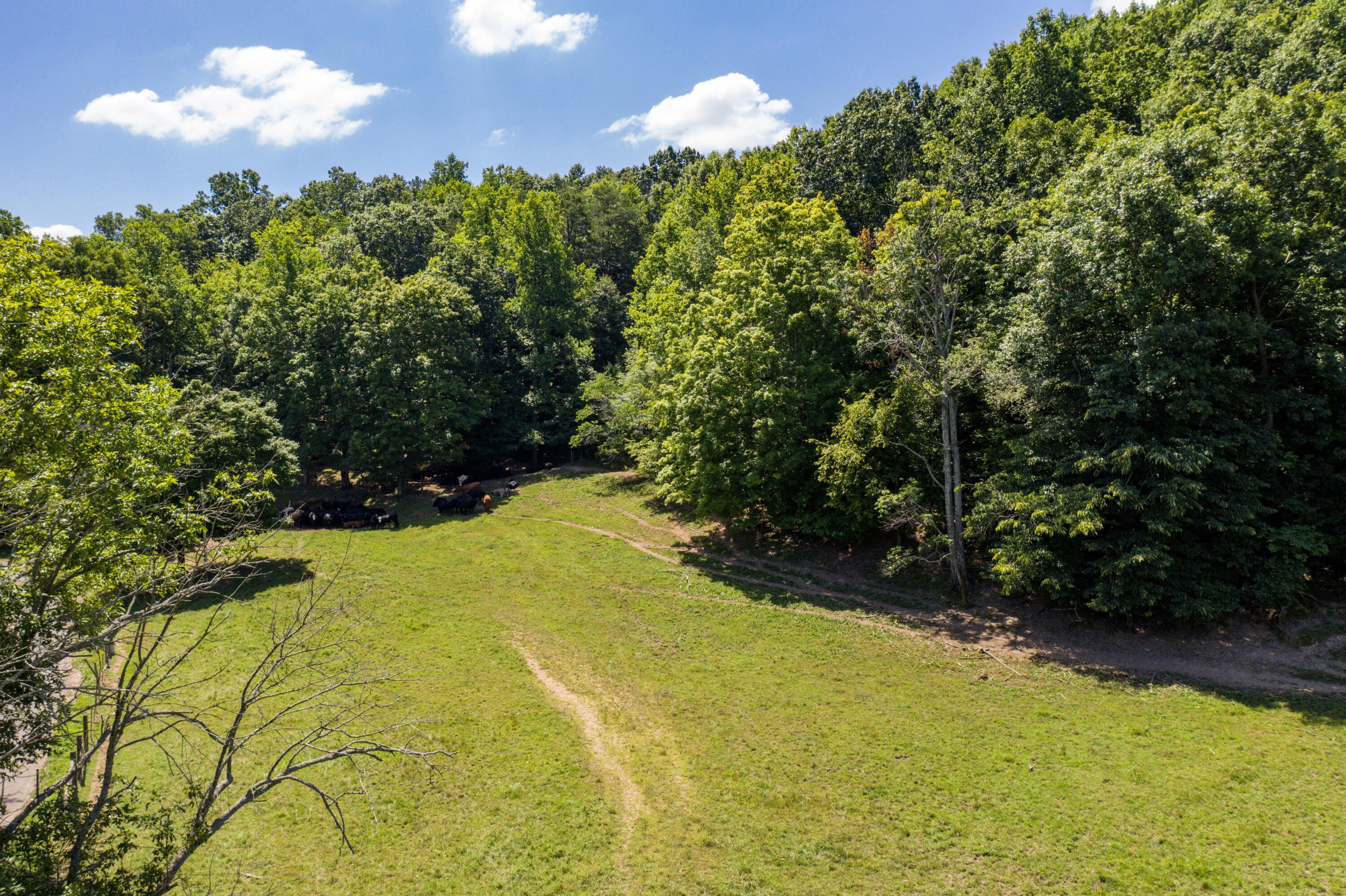 1636 White Oak Road Northwest Cleveland, TN 37312 - Photo 7 of 50 7-DJI_0121