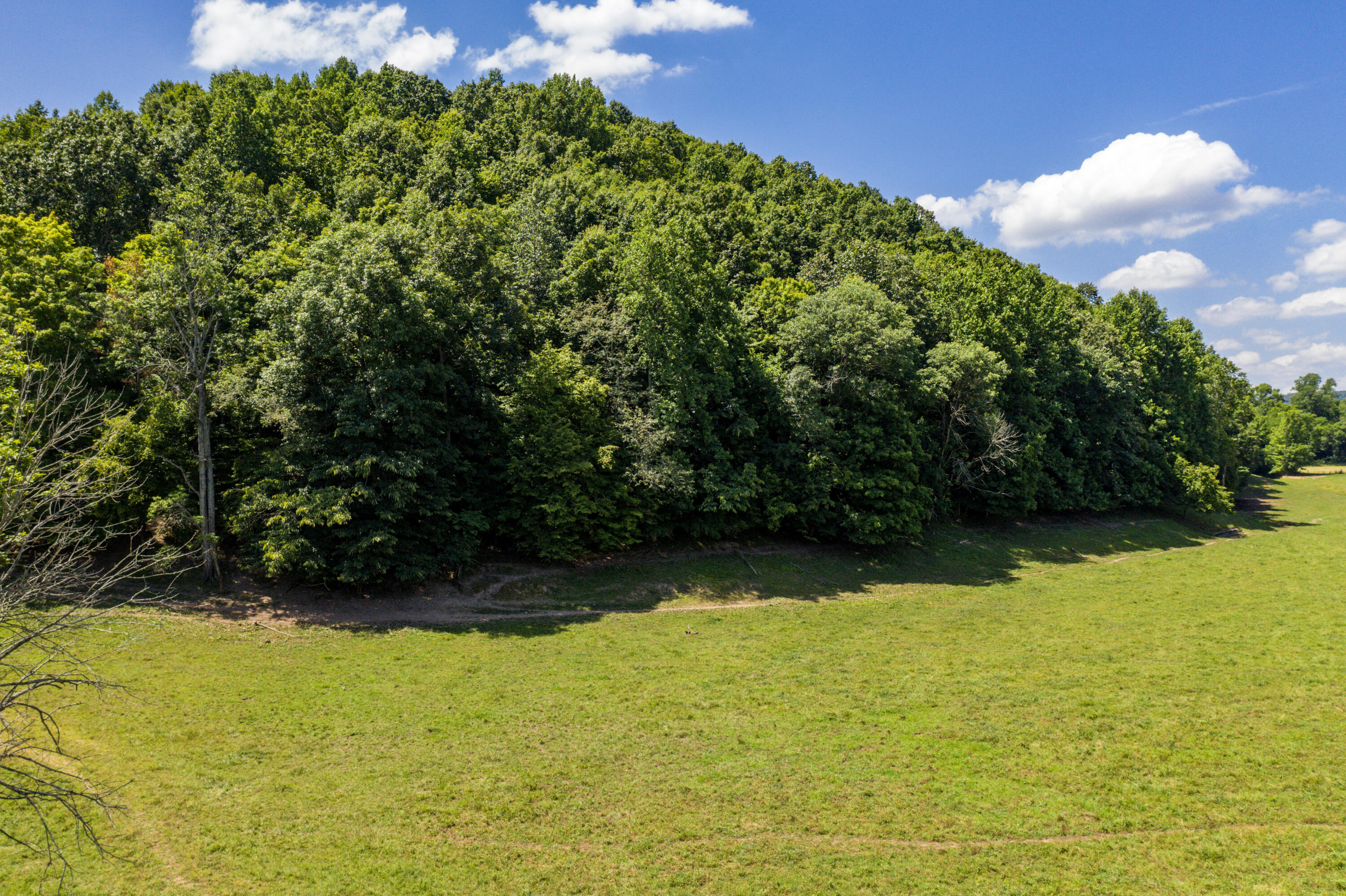 1636 White Oak Road Northwest Cleveland, TN 37312 - Photo 8 of 50 8-DJI_0122