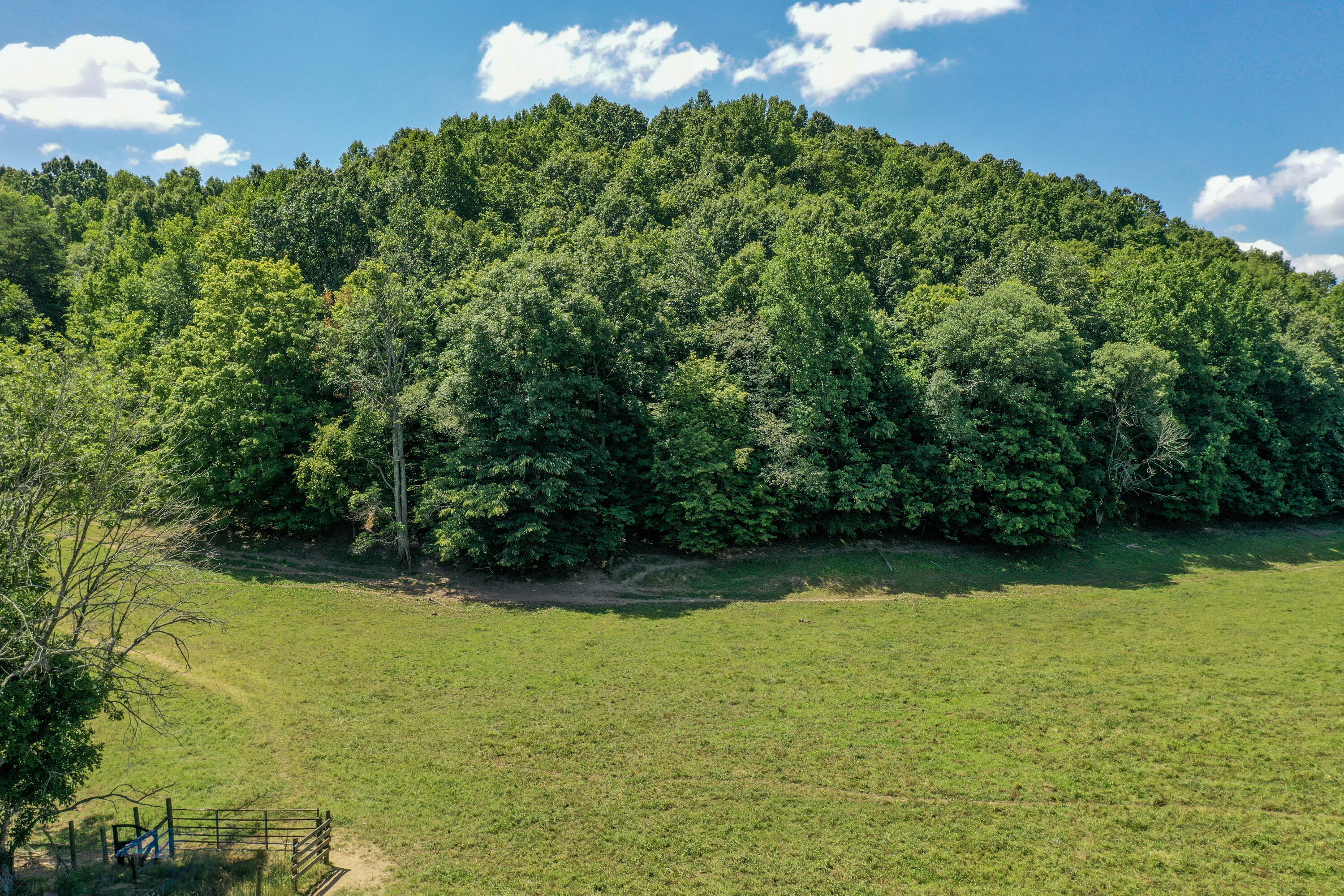 1636 White Oak Road Northwest Cleveland, TN 37312 - Photo 9 of 50 9-DJI_0123
