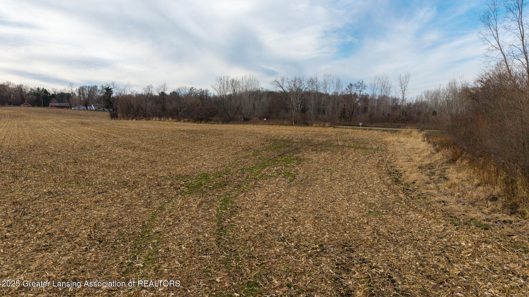 Vl Windsor Highway Dimondale, MI 48821 - Photo 26 of 31 Windsor_Hwy_37_ACRE_BROCK-26