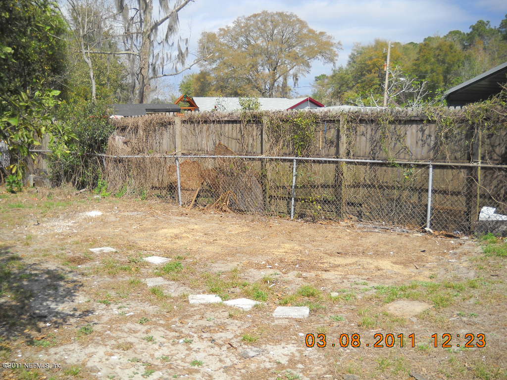 More back yard