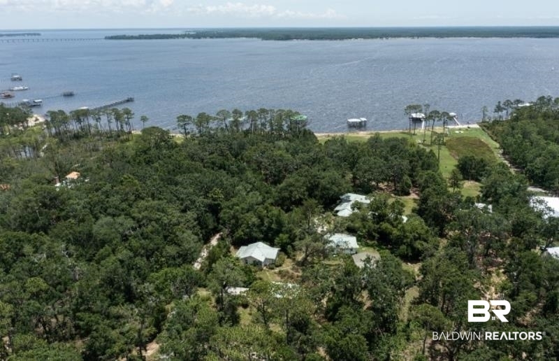10970 County Road 99 Lillian, AL 36549 - Photo 1 of 38 Aerial View