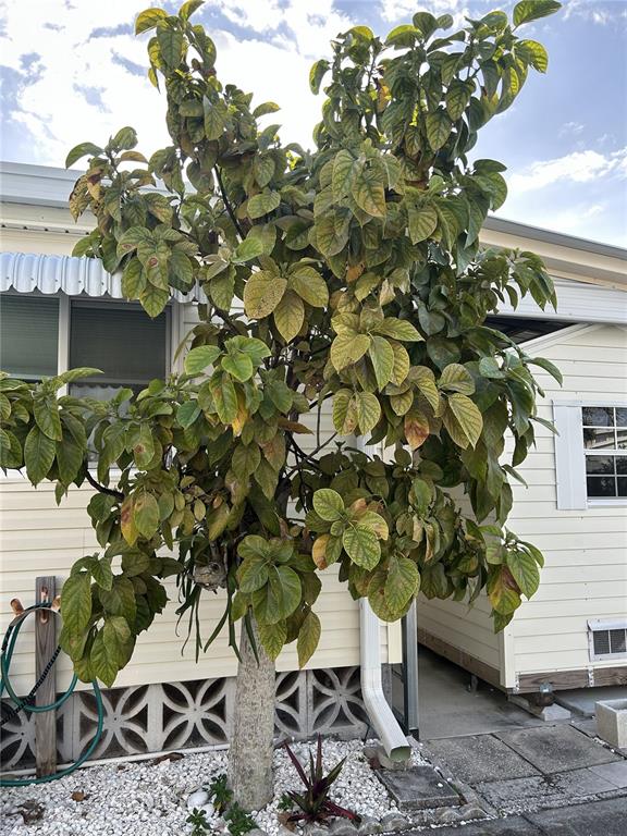 1891 Englewood Road, Unit 45 Englewood, FL 34223 - Photo 54 of 55 a backyard of a house with lots of green space
