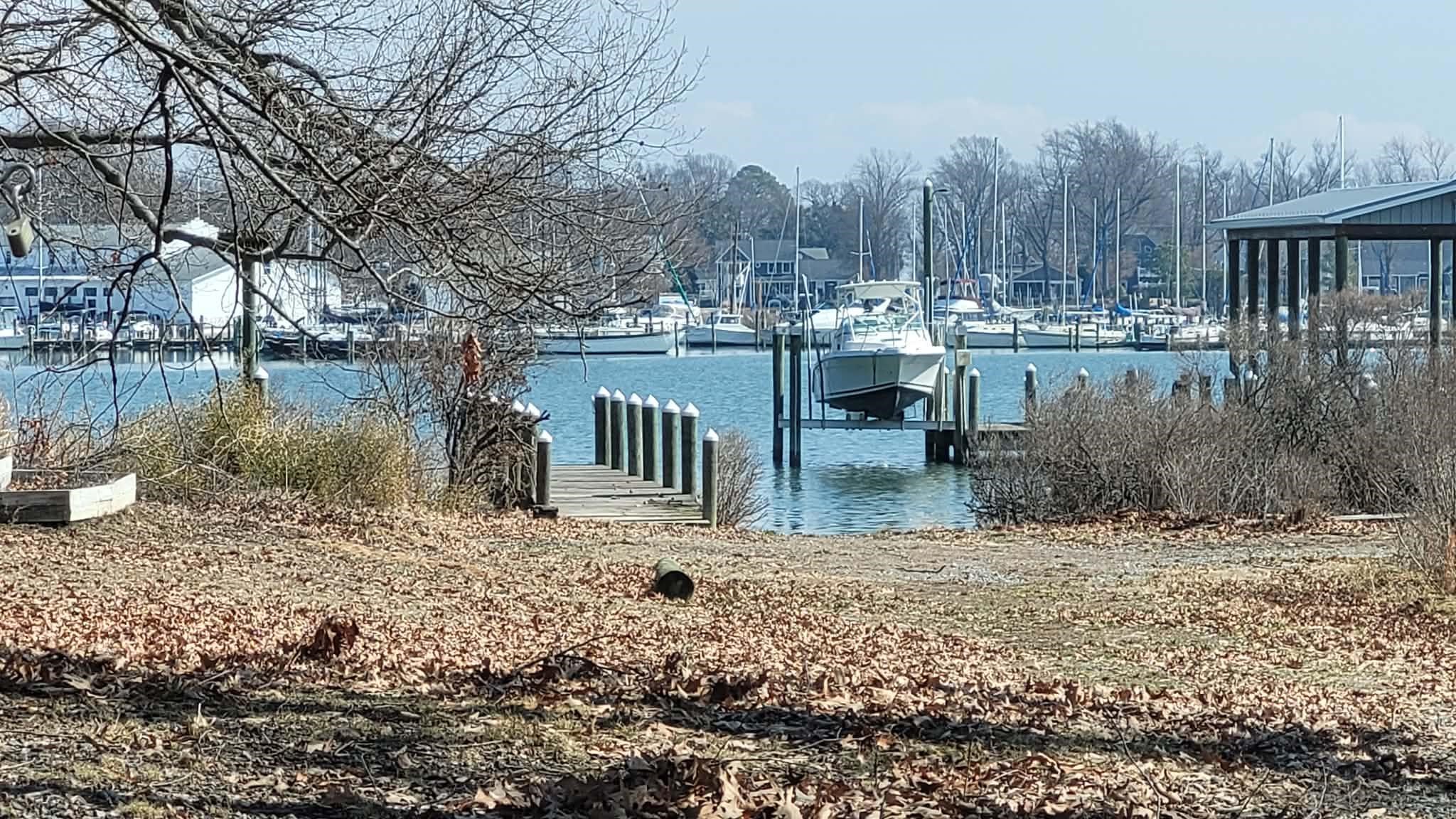 Monroe Bay Circle Colonial Beach, VA 22443 - Photo 1 of 6 a view of a lake with houses
