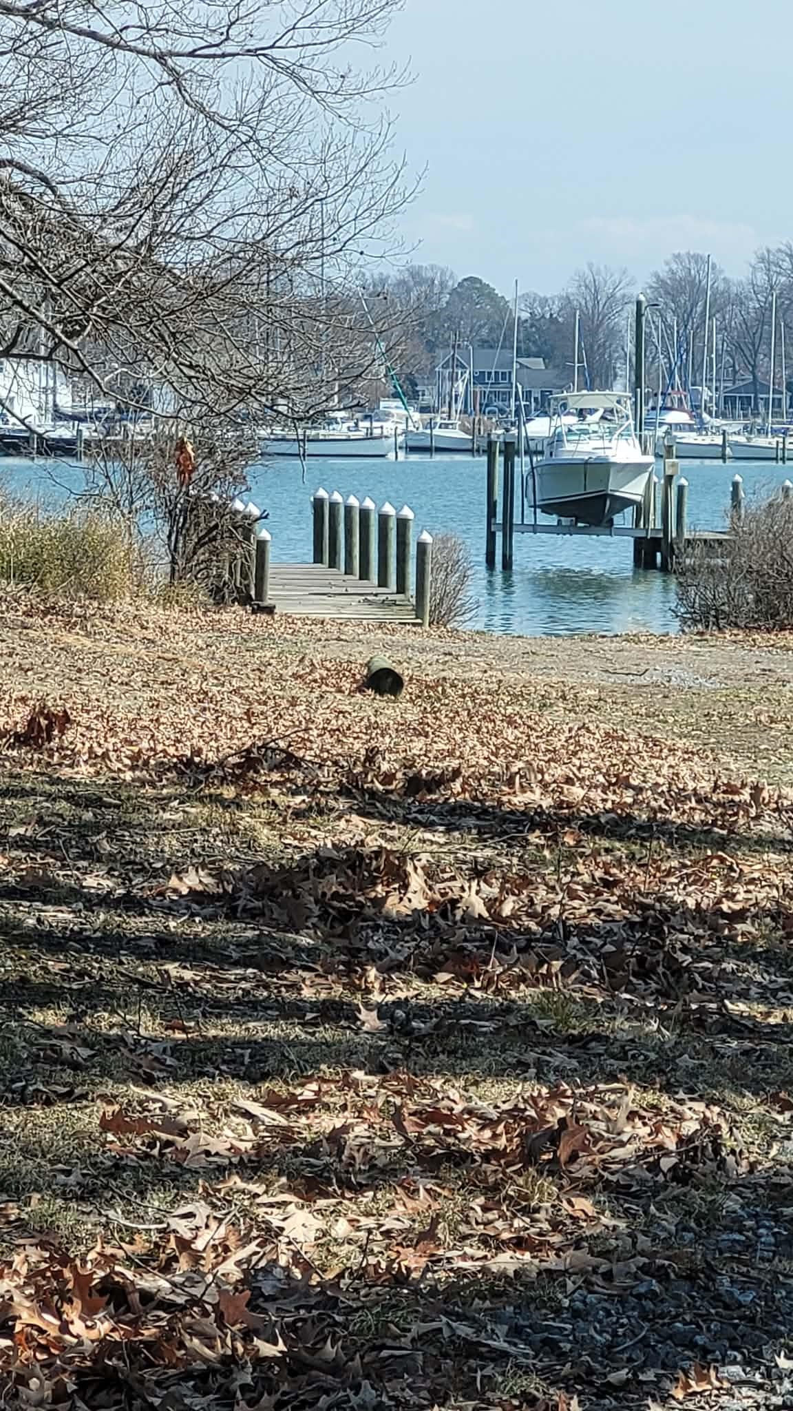 Monroe Bay Circle Colonial Beach, VA 22443 - Photo 3 of 6 a view of a lake with houses