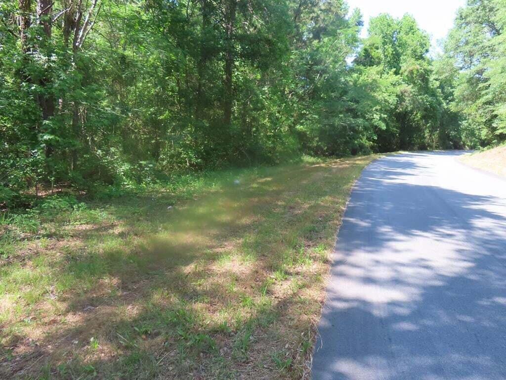 0 Garvey Road Summerton, SC 29148 - Photo 2 of 3