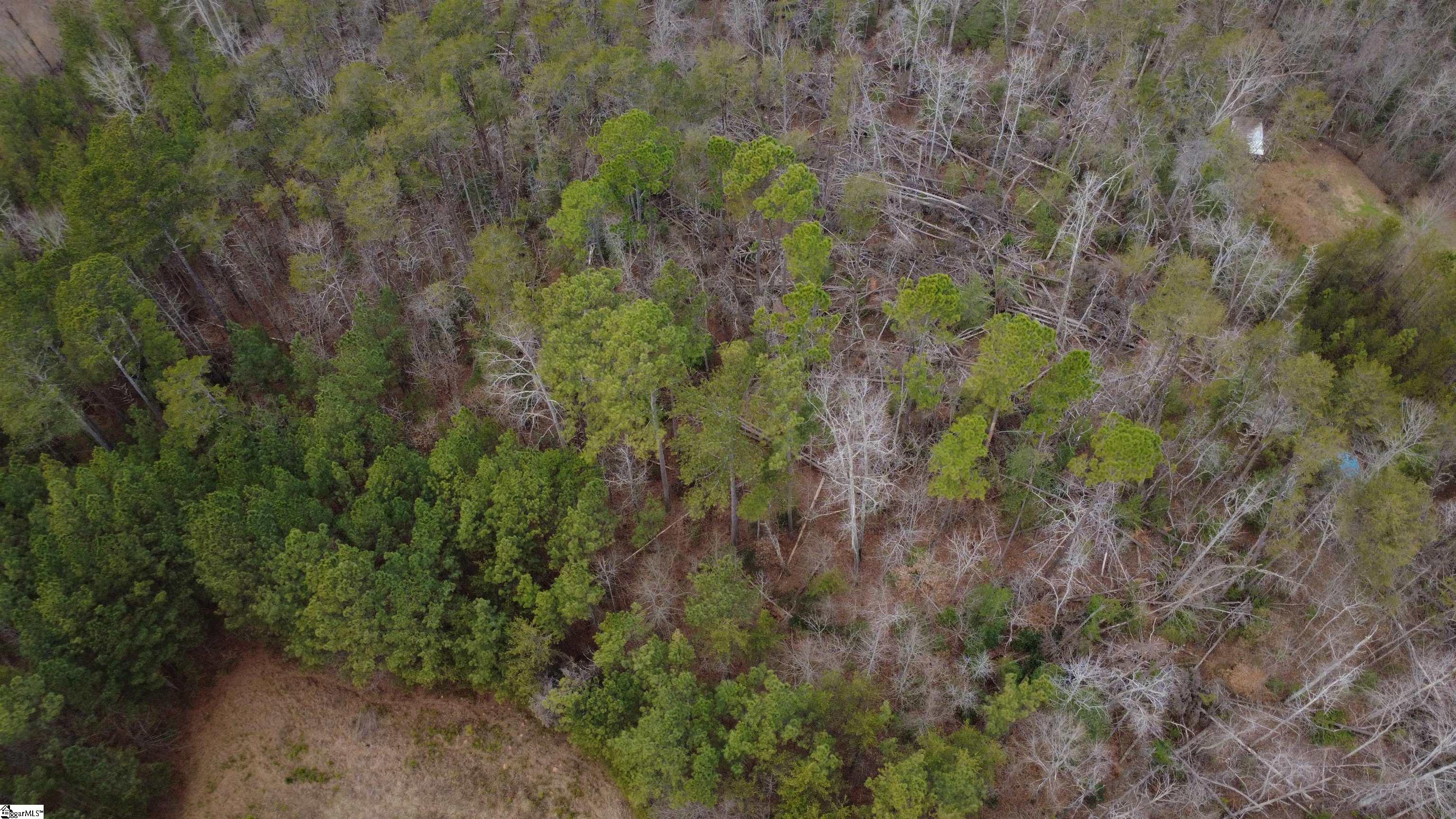 145 Bates Road Marietta, SC 29661 - Photo 6 of 10