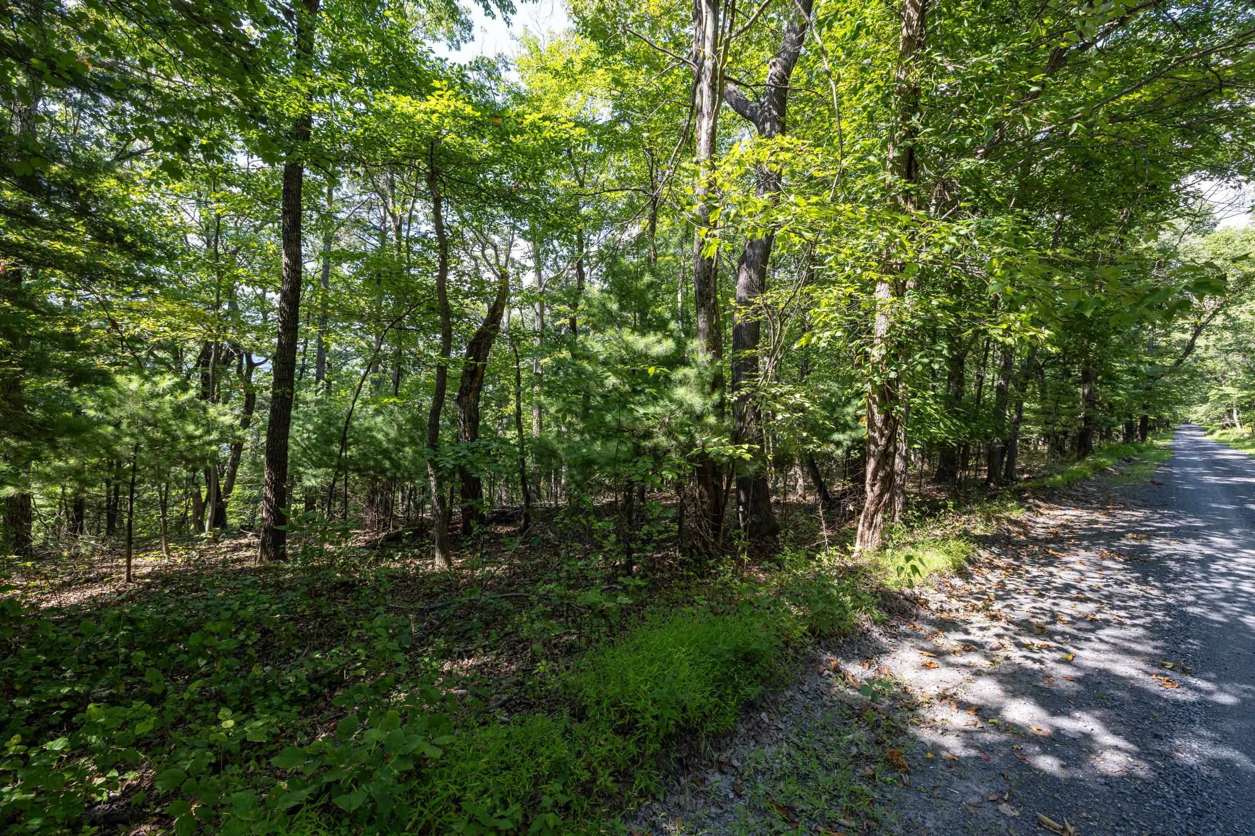0 Supinlick Ridge Road Broadway, VA 22815 - Photo 6 of 35 Gallery Image 6