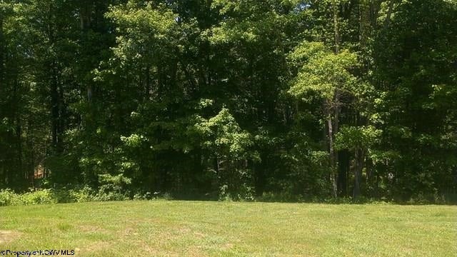 700 Green Valley Road Buckhannon, WV 26201 - Photo 17 of 20 Gallery Image 17