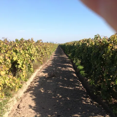 $2,170,420 | 6623 East Nebraska Avenue, Selma, CA 93662