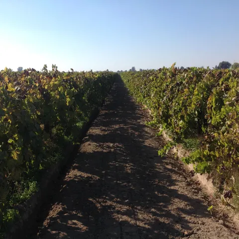 $2,170,420 | 6623 East Nebraska Avenue, Selma, CA 93662