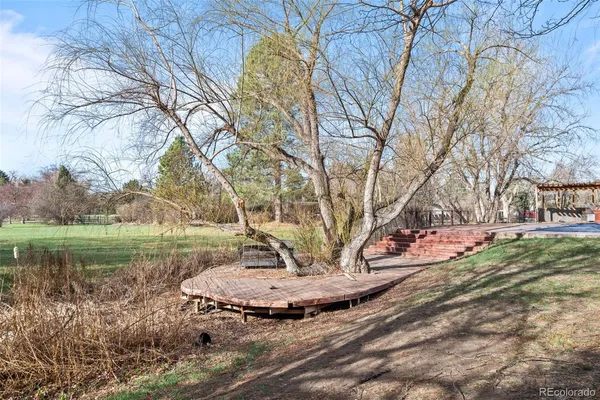 a view of a park with large trees