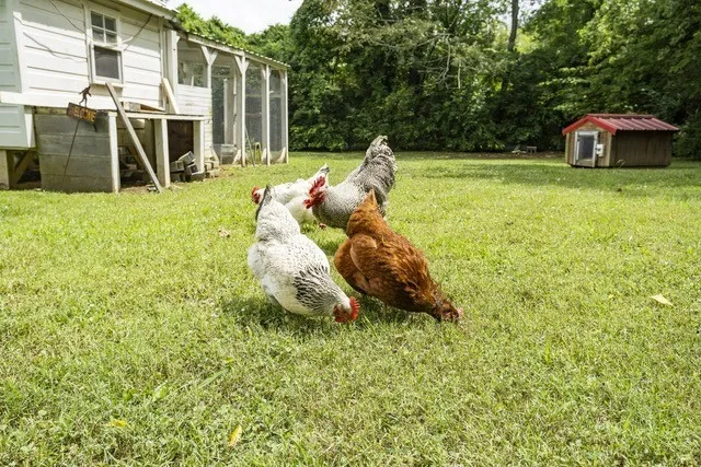 $15,000 | 815 Sneed Road West, Franklin, TN 37069