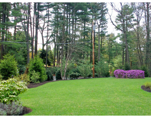 4 Robin Road Weston, MA 02493 - Photo 10 of 10 a green field with lots of trees