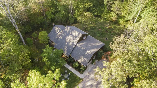 a view of a flower in a garden