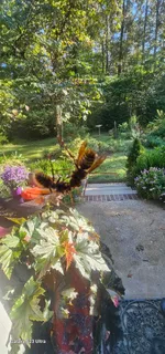 $465,000 | 954 Belmont Road, Manchester, TN 37355