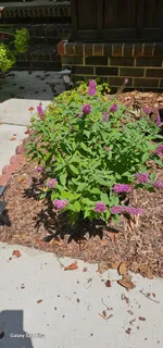 $465,000 | 954 Belmont Road, Manchester, TN 37355