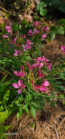 a view of an outdoor space