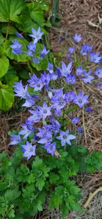 $465,000 | 954 Belmont Road, Manchester, TN 37355