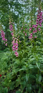 $465,000 | 954 Belmont Road, Manchester, TN 37355