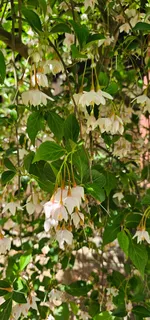 $465,000 | 954 Belmont Road, Manchester, TN 37355