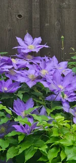 $465,000 | 954 Belmont Road, Manchester, TN 37355