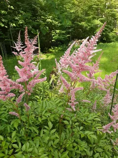 $465,000 | 954 Belmont Road, Manchester, TN 37355