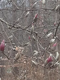 $465,000 | 954 Belmont Road, Manchester, TN 37355