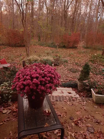 $450,000 | 954 Belmont Road, Manchester, TN 37355