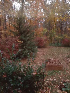 $465,000 | 954 Belmont Road, Manchester, TN 37355