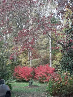 $465,000 | 954 Belmont Road, Manchester, TN 37355