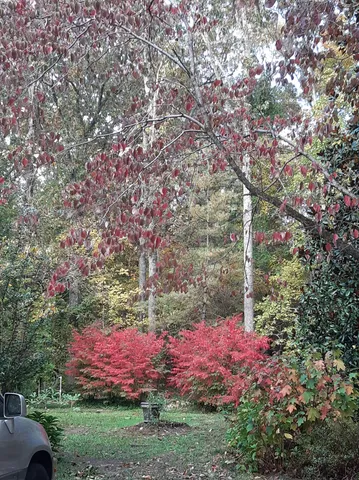 $450,000 | 954 Belmont Road, Manchester, TN 37355