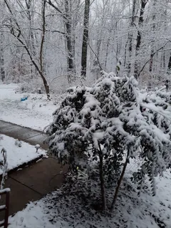 $465,000 | 954 Belmont Road, Manchester, TN 37355