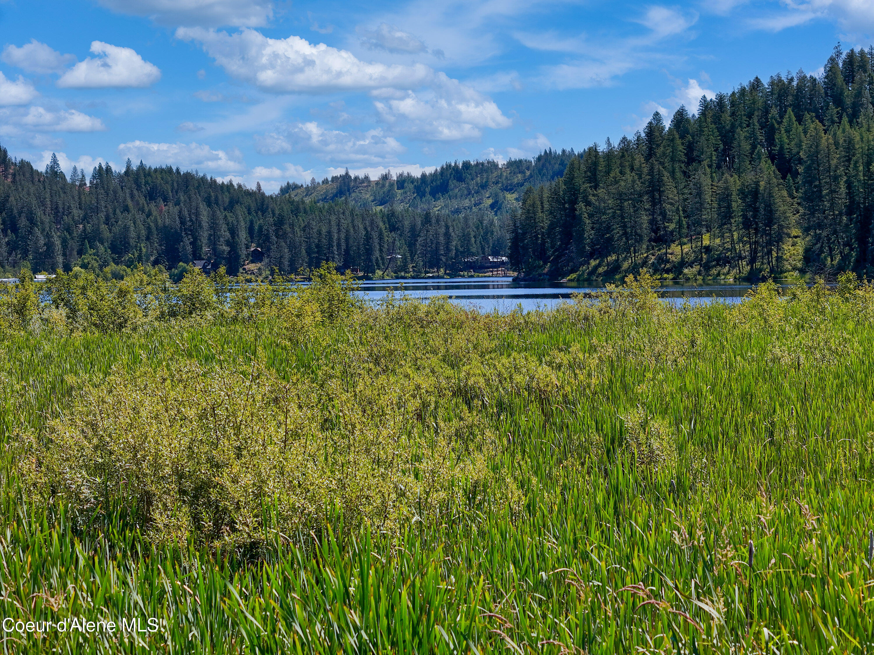 447 South Beaver Lake Road Athol, ID 83801 - Photo 11 of 131 Kelso Lake14