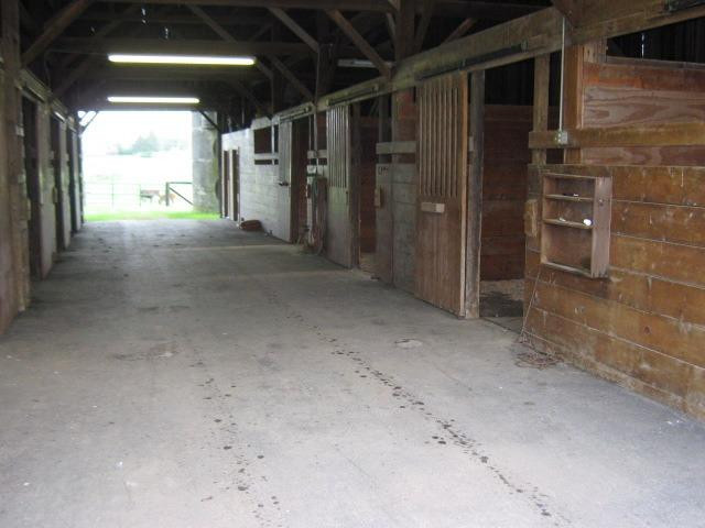 801 Hume Bedford Road Paris, KY 40361 - Photo 19 of 30 Photo 20
